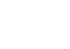 Dentinet