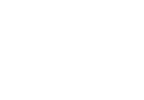 Dentinet.png